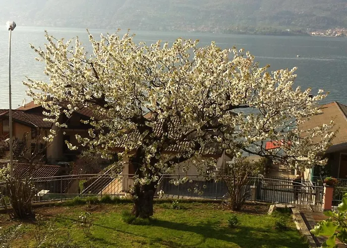 Cherry En Rose Bed & Breakfast Lezzeno