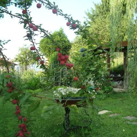 Cherry En Rose